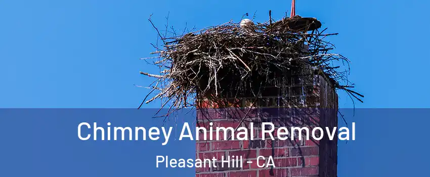 Chimney Animal Removal Pleasant Hill - CA