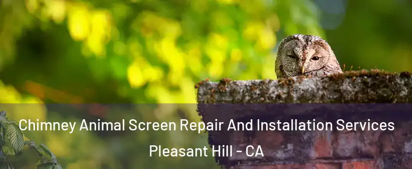  Chimney Animal Screen Repair And Installation Services Pleasant Hill - CA
