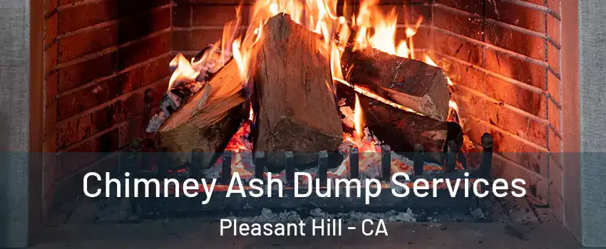  Chimney Ash Dump Services Pleasant Hill - CA