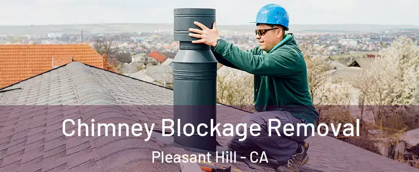  Chimney Blockage Removal Pleasant Hill - CA