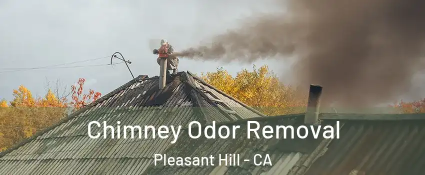  Chimney Odor Removal Pleasant Hill - CA
