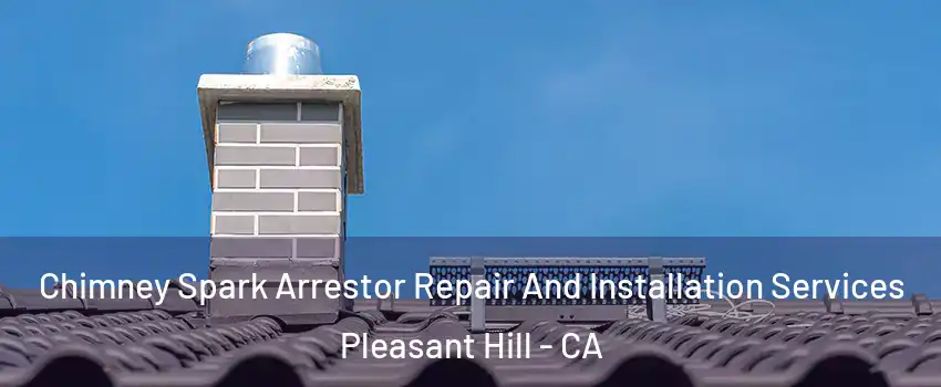  Chimney Spark Arrestor Repair And Installation Services Pleasant Hill - CA
