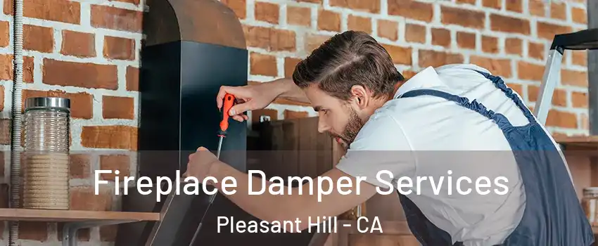  Fireplace Damper Services Pleasant Hill - CA
