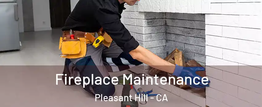  Fireplace Maintenance Pleasant Hill - CA