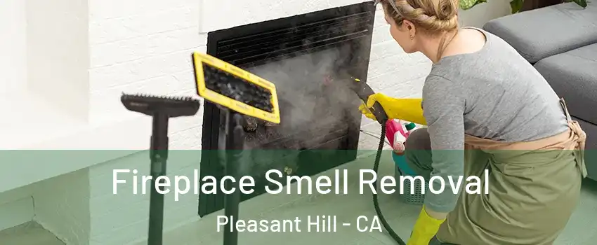  Fireplace Smell Removal Pleasant Hill - CA