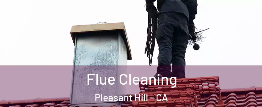  Flue Cleaning Pleasant Hill - CA