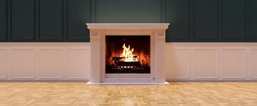 Napoleon Electric Fireplaces Inspection Service in Pleasant Hill, California