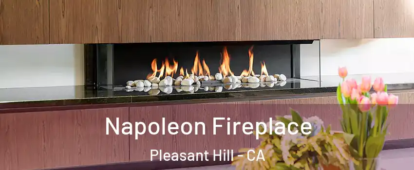 Napoleon Fireplace Pleasant Hill - CA